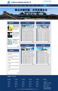 市場(chǎng)調(diào)查 企業(yè)咨詢管理公司網(wǎng)站現(xiàn)狀與發(fā)展趨勢(shì)分析