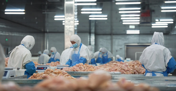 全鏈掌控鑄就護城河:解碼大鼓米線500 +門店穩健擴張背后的邏輯與支撐
